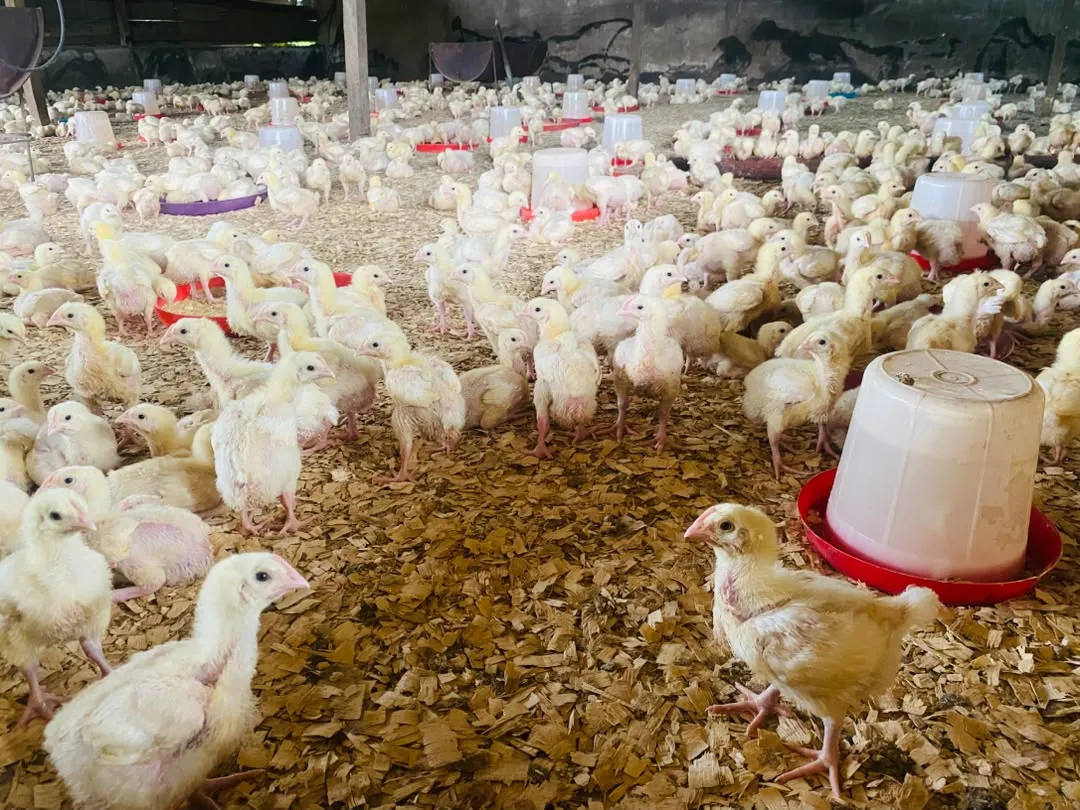 Exploitation agricole